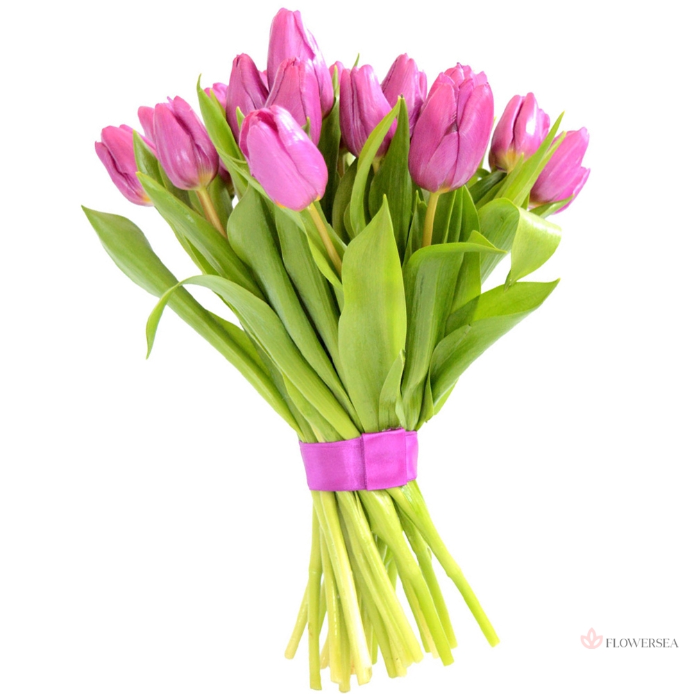 31 ��������� �������