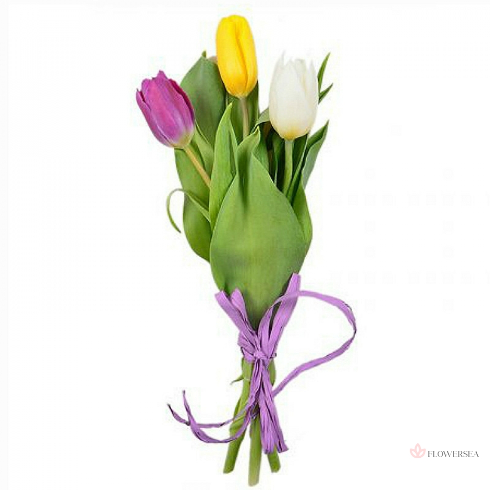 3 ������������ ��������