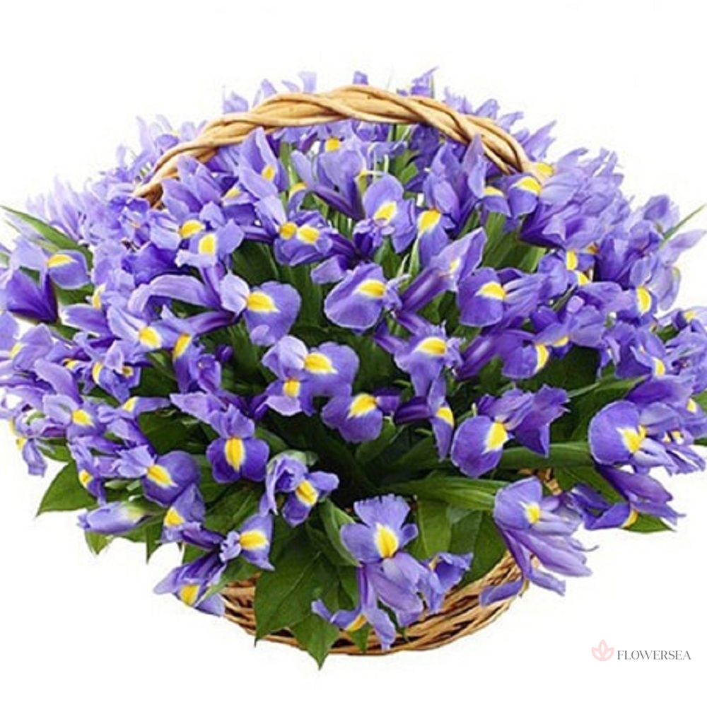 101 ���� � �������