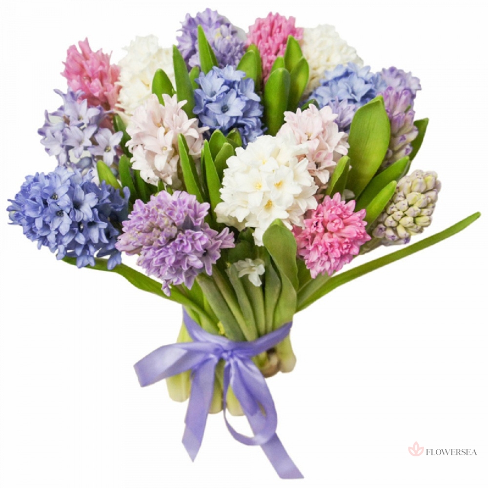 15 ��������� � ������