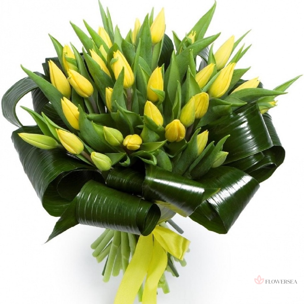 ����� �� 29 ������ ���������