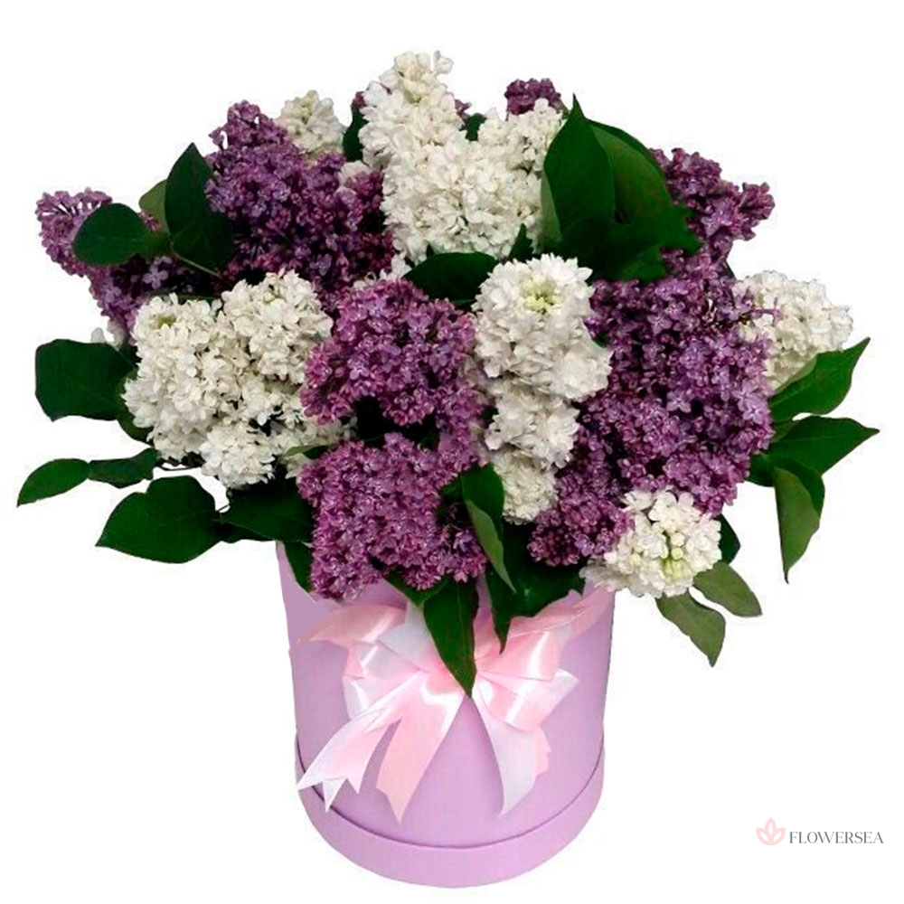 ���������� � 11 ����� ������