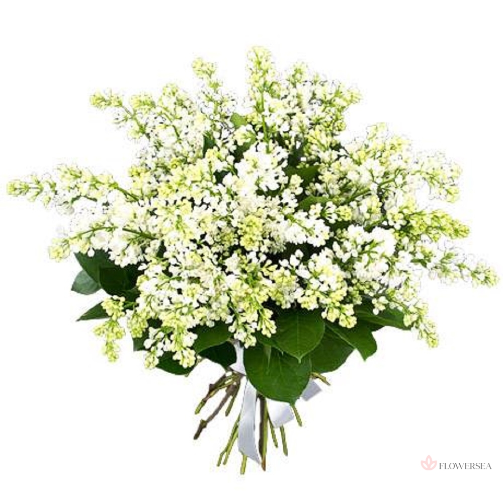 ����� �� 9 ����� ����� ������