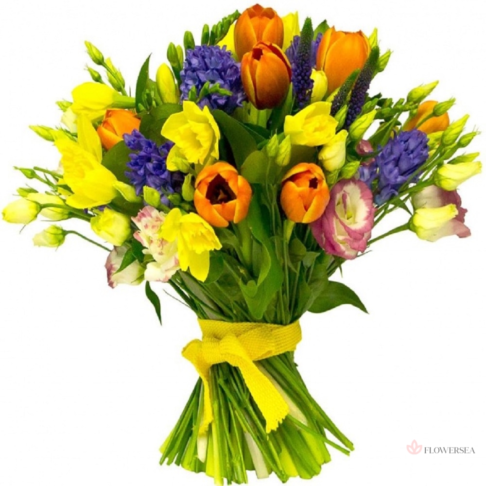 ��������� �������� �����