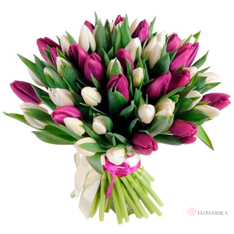 51 ����� � ���������� �������