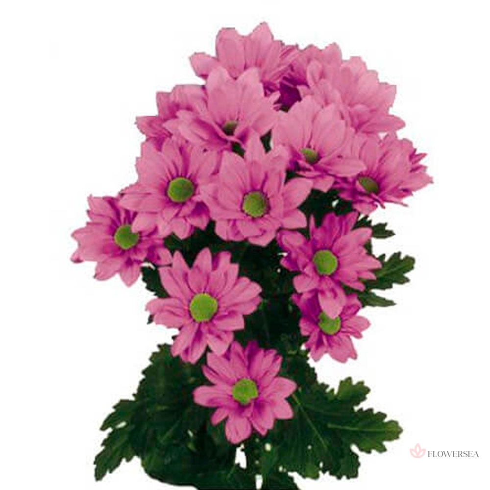 ���������� �������