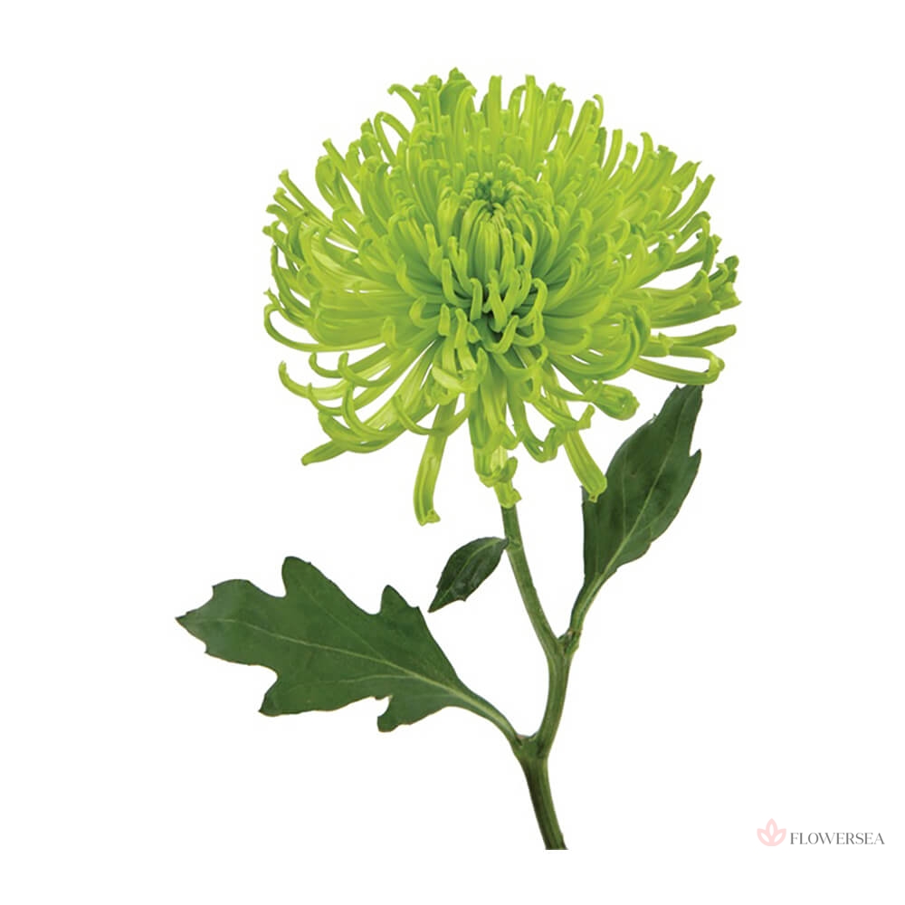 ���������� ������