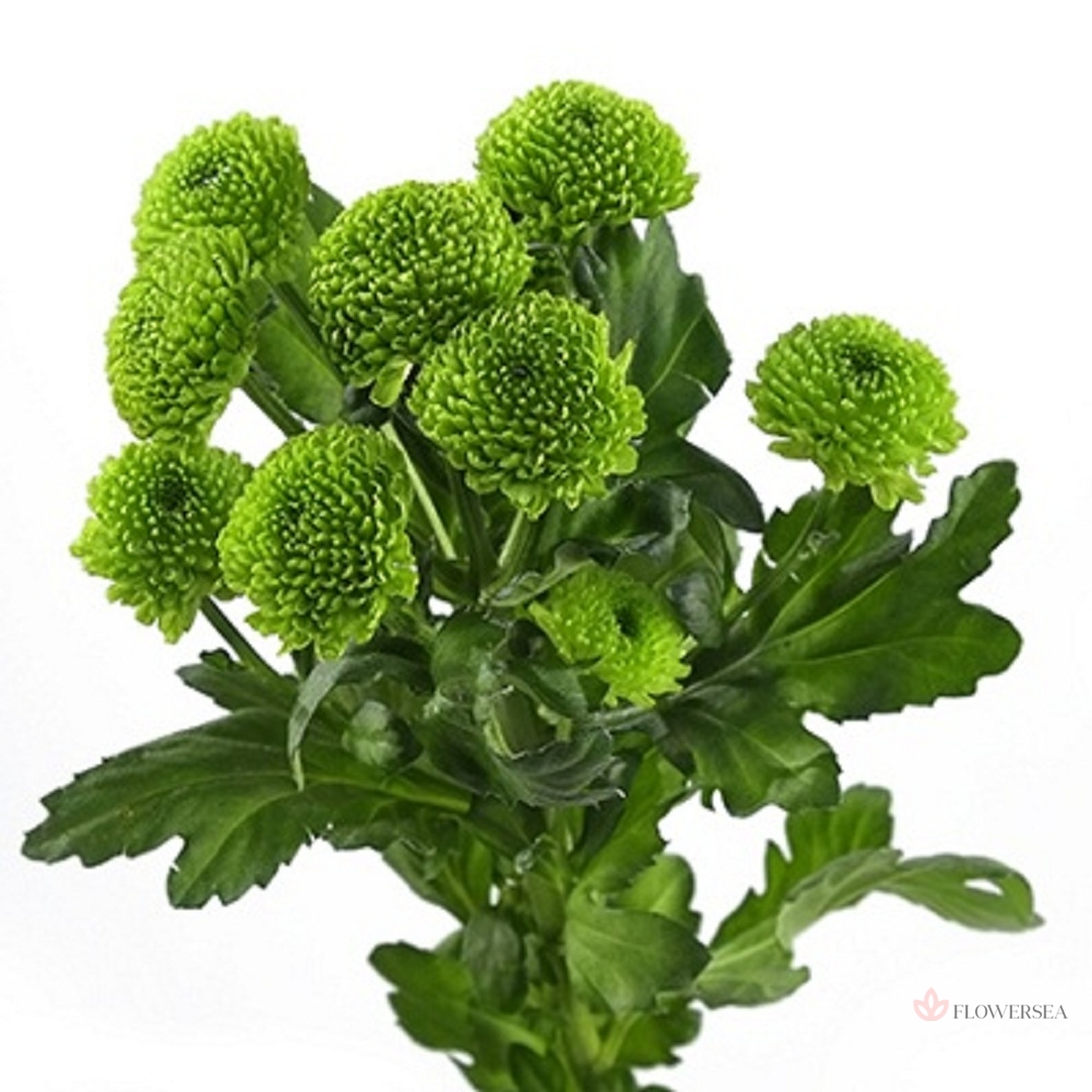 ���������� ������ ������ 