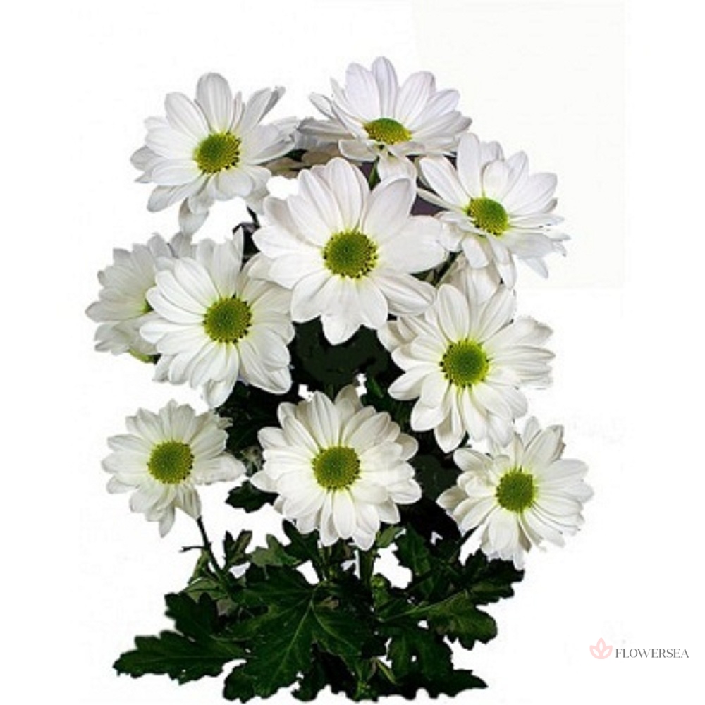 ���������� ������ 