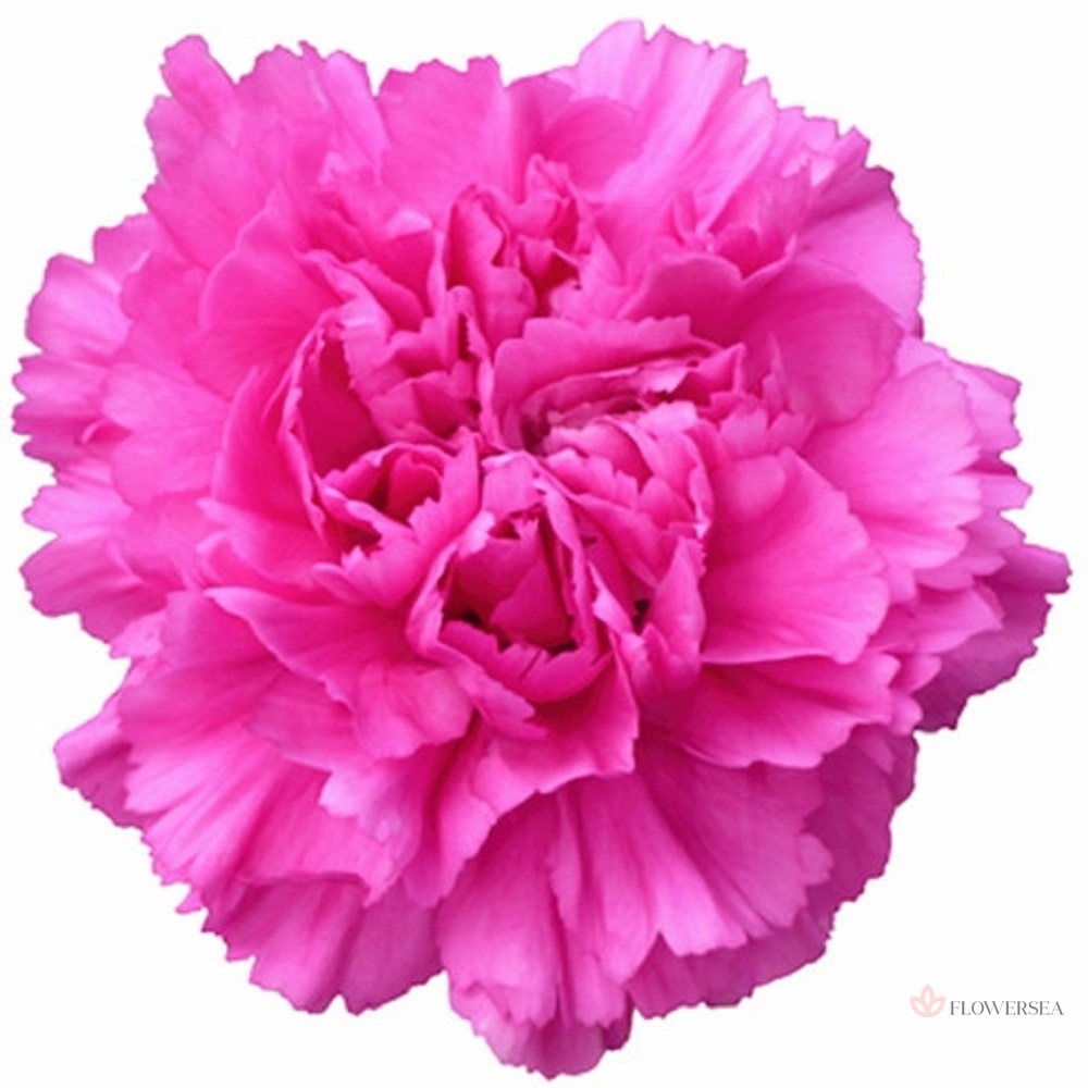 �������� ҳ����� �����