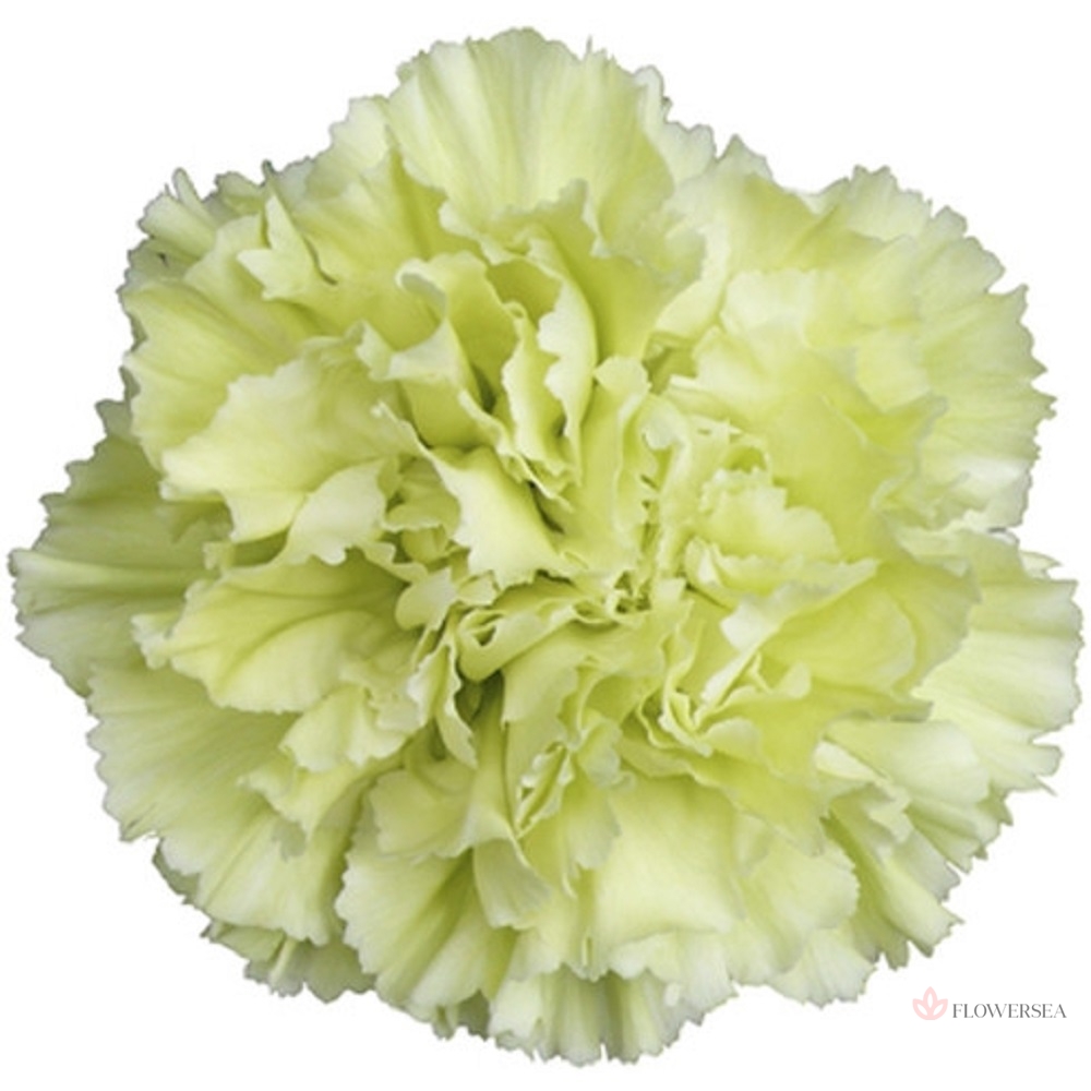 �������� ������