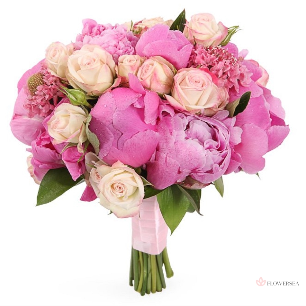 ����� �������� 