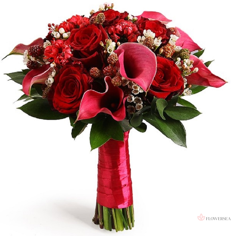 ����� �������� 