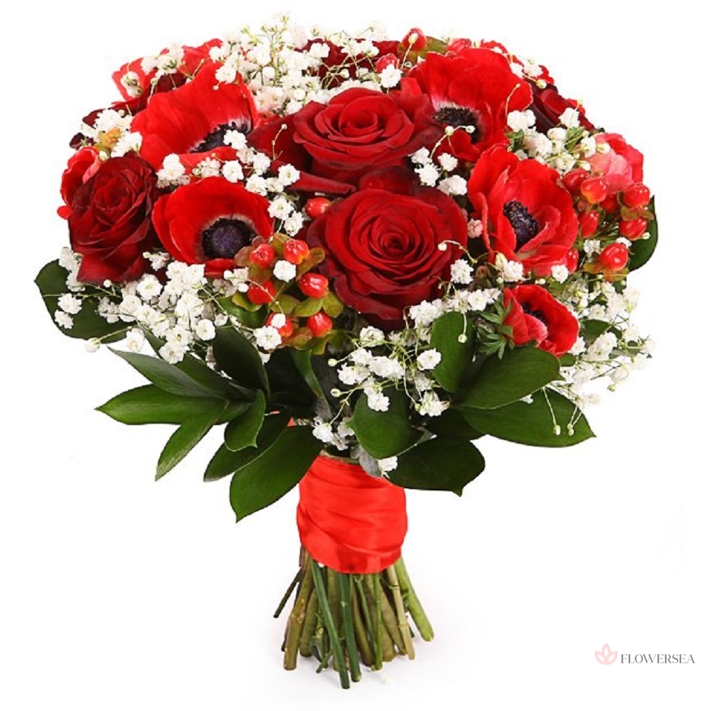 ����� �������� 