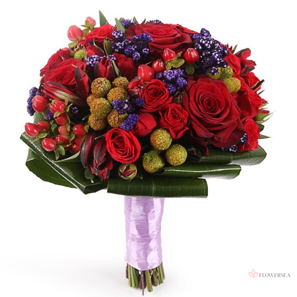 ����� �������� 