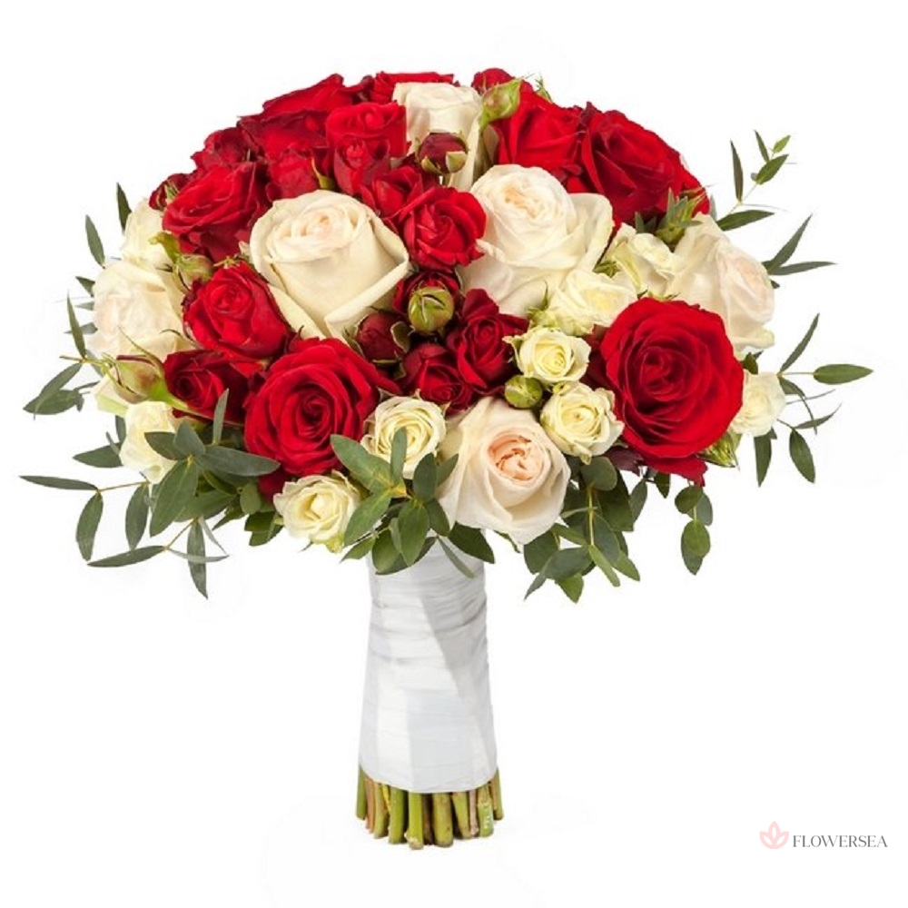 ����� �������� 