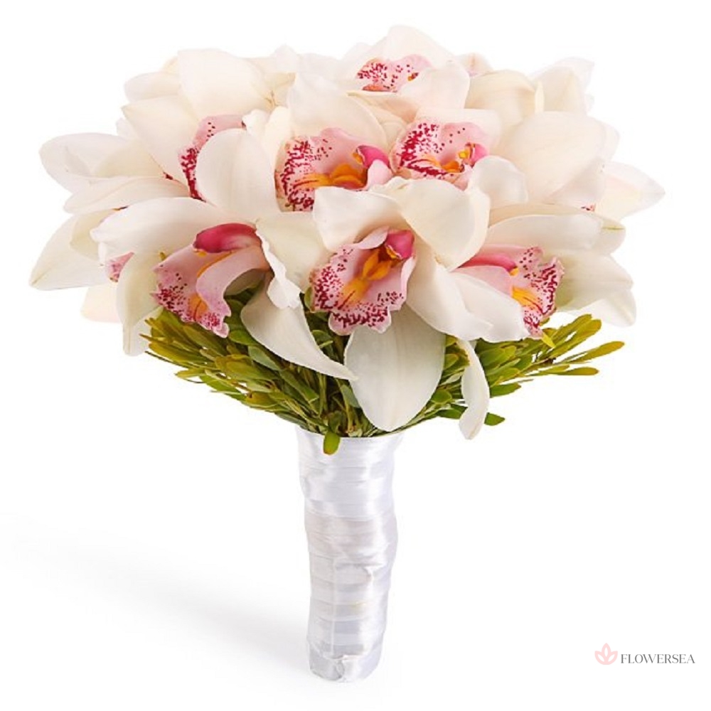 ����� �������� 