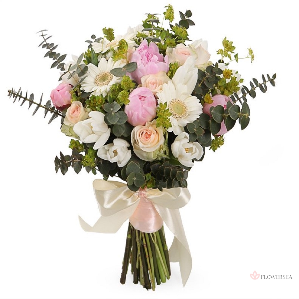 ����� �������� 