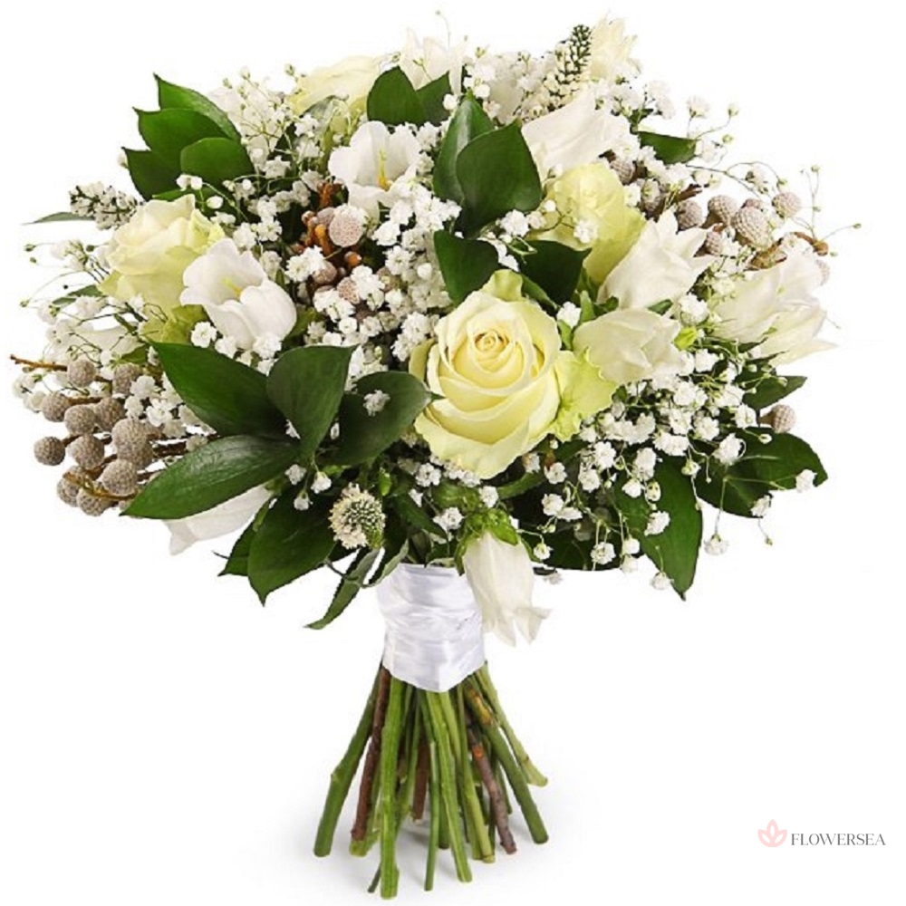 ����� �������� 