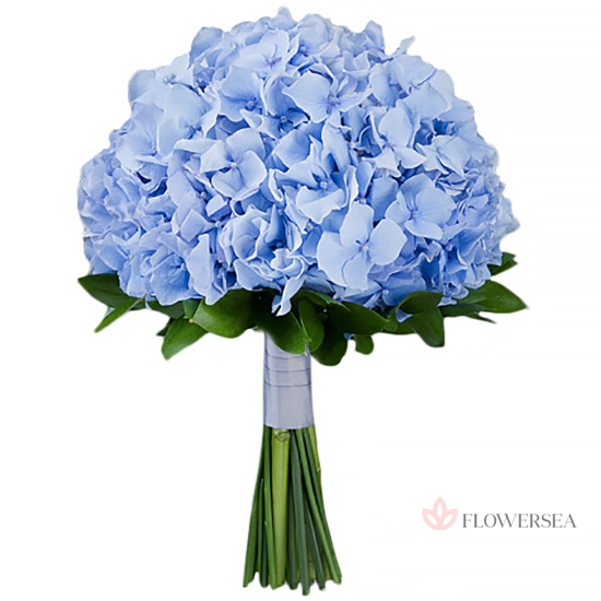 ����� �������� � ������糿