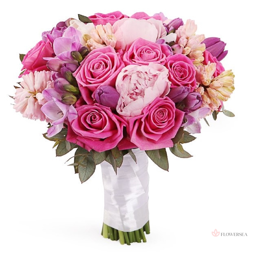 ����� �������� 