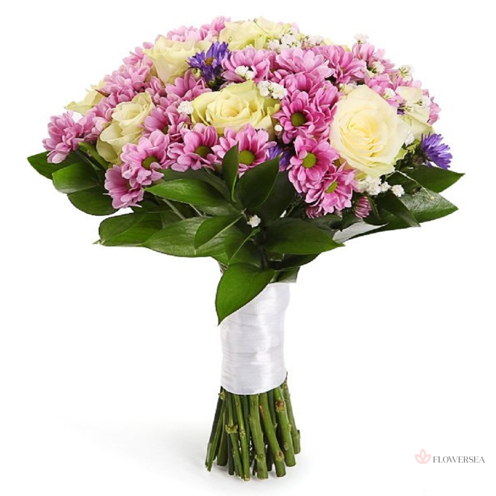 ����� �������� 