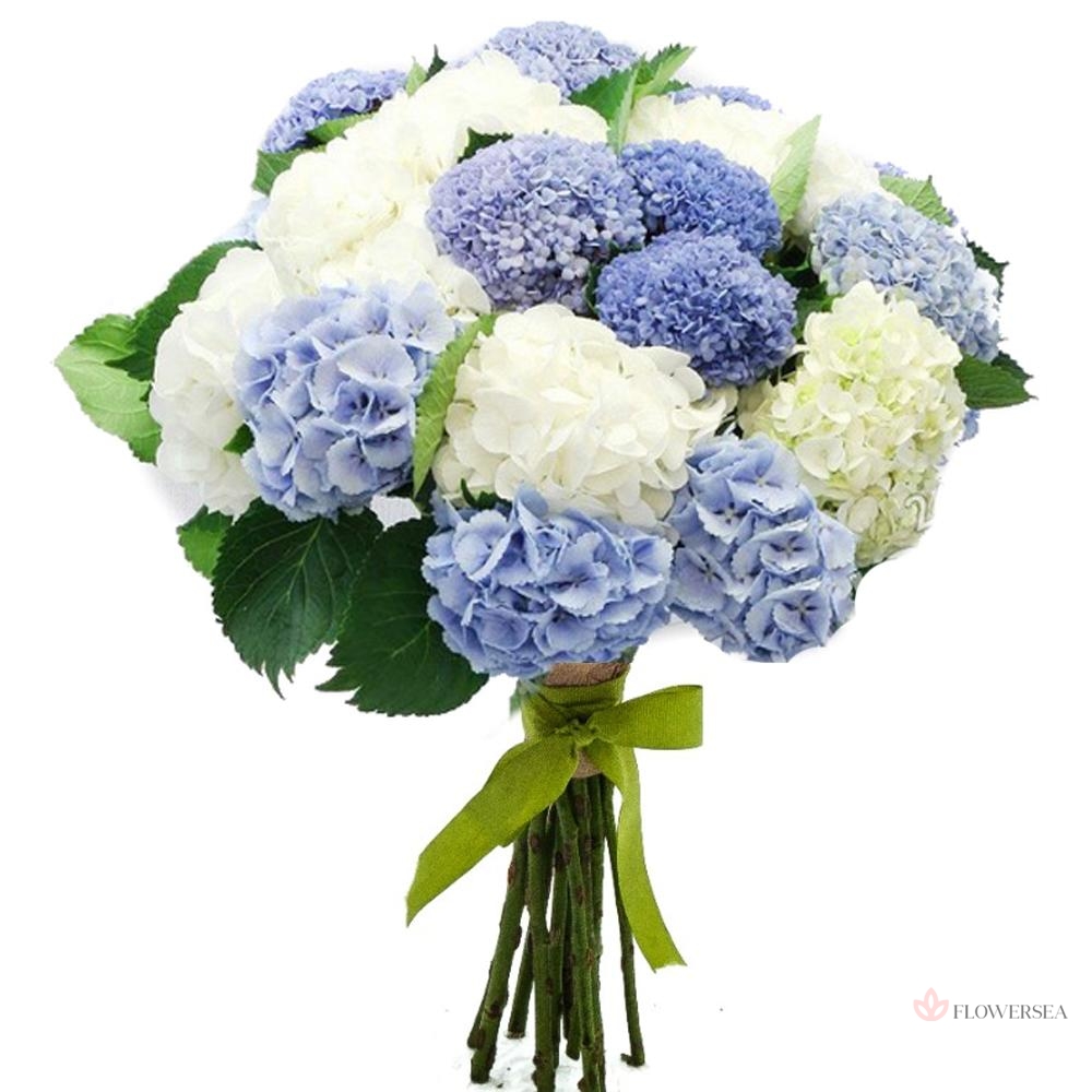 ����� � 15 ��������