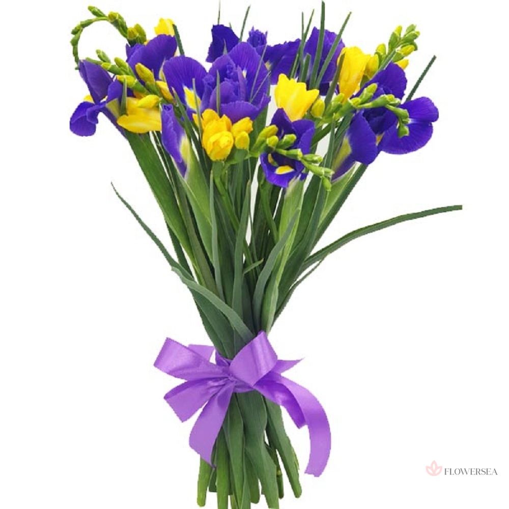 ����� � �������