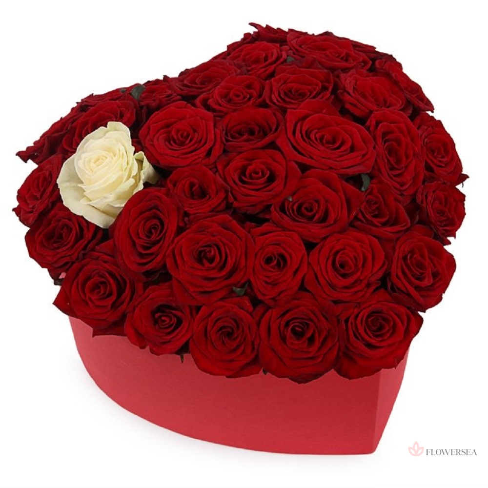 51 ���� � �������