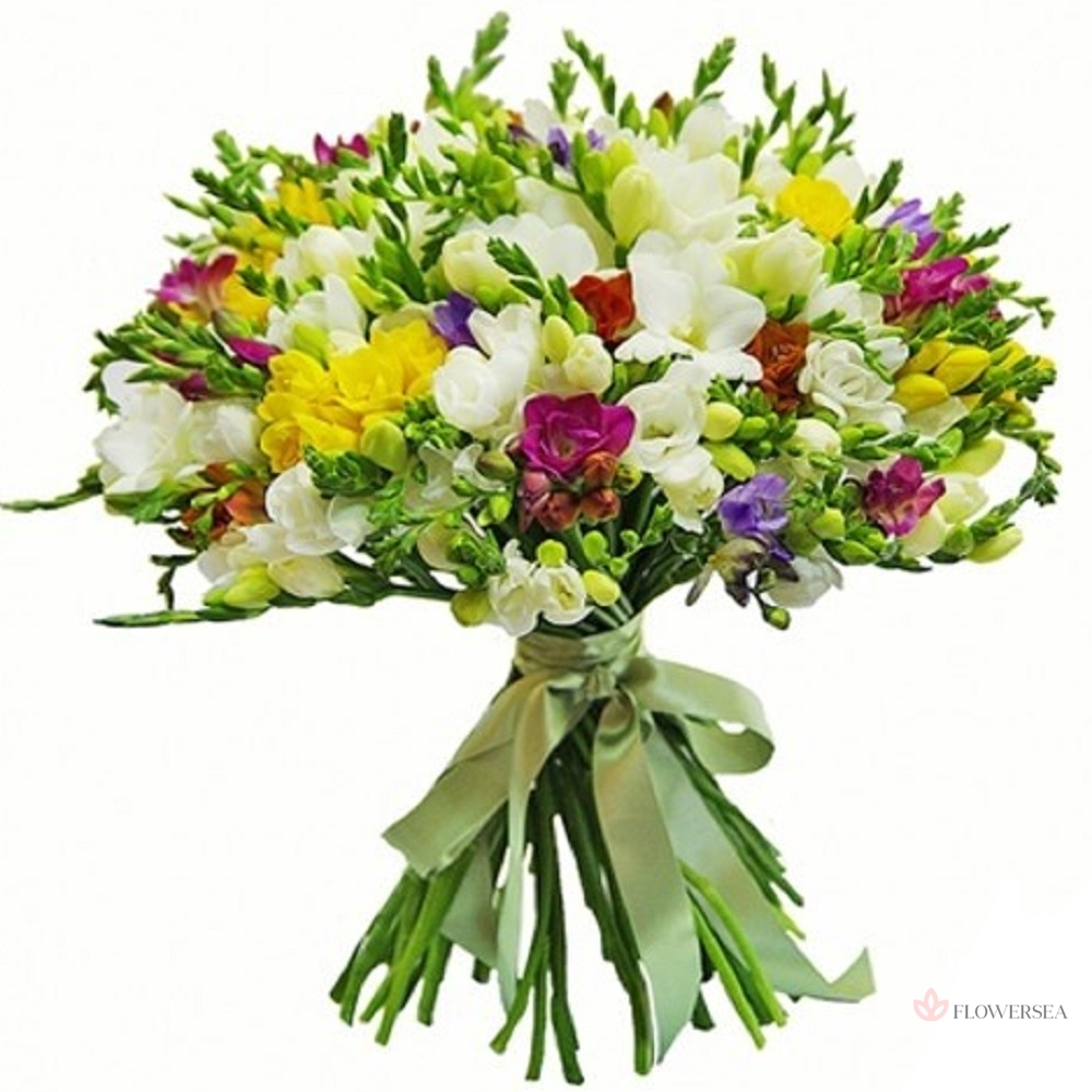 31 ����� ���