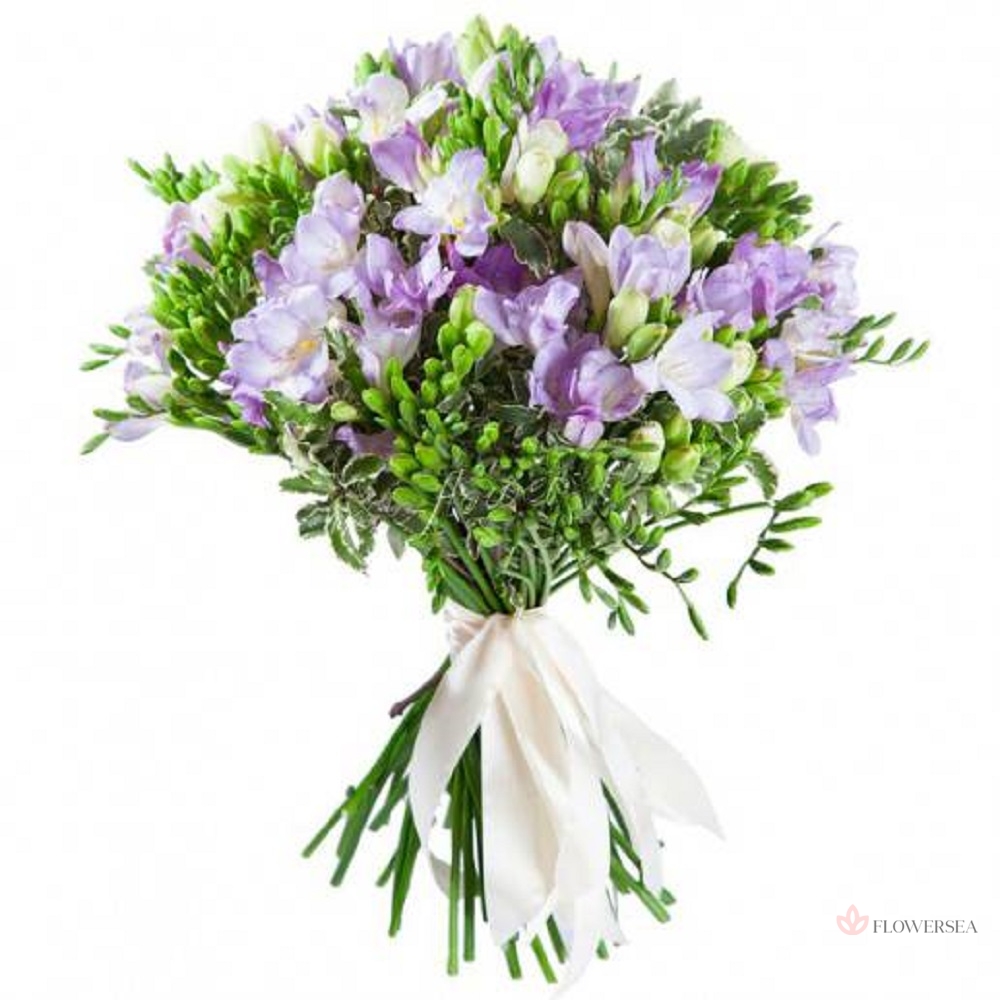 19 �������� �����