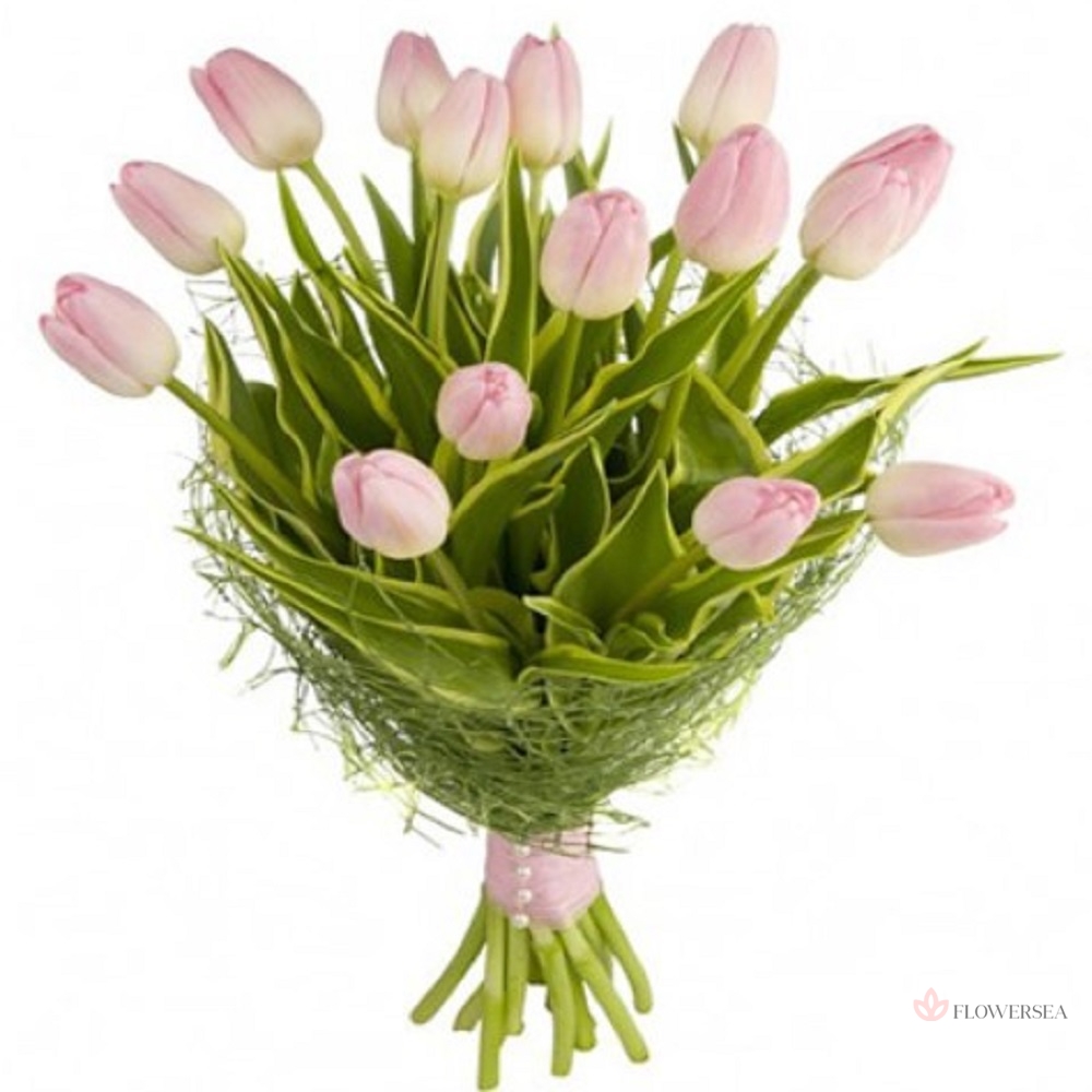 15 ������� ���������