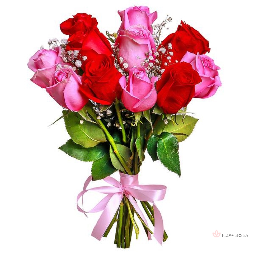 11 ������� � ������� ���