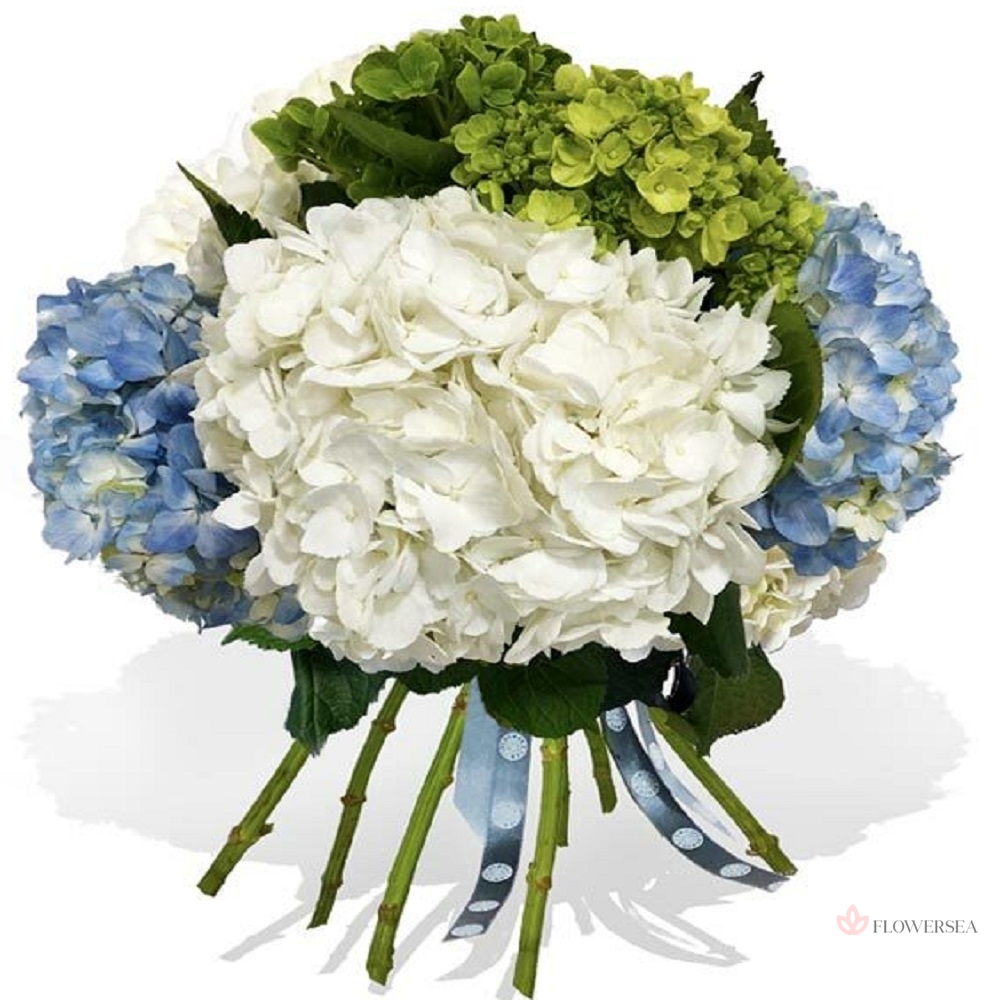 7 �������� � �����