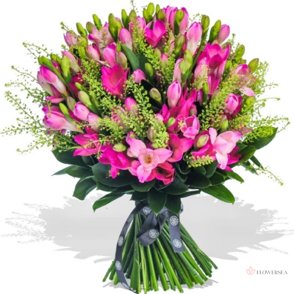 51 �������� �����