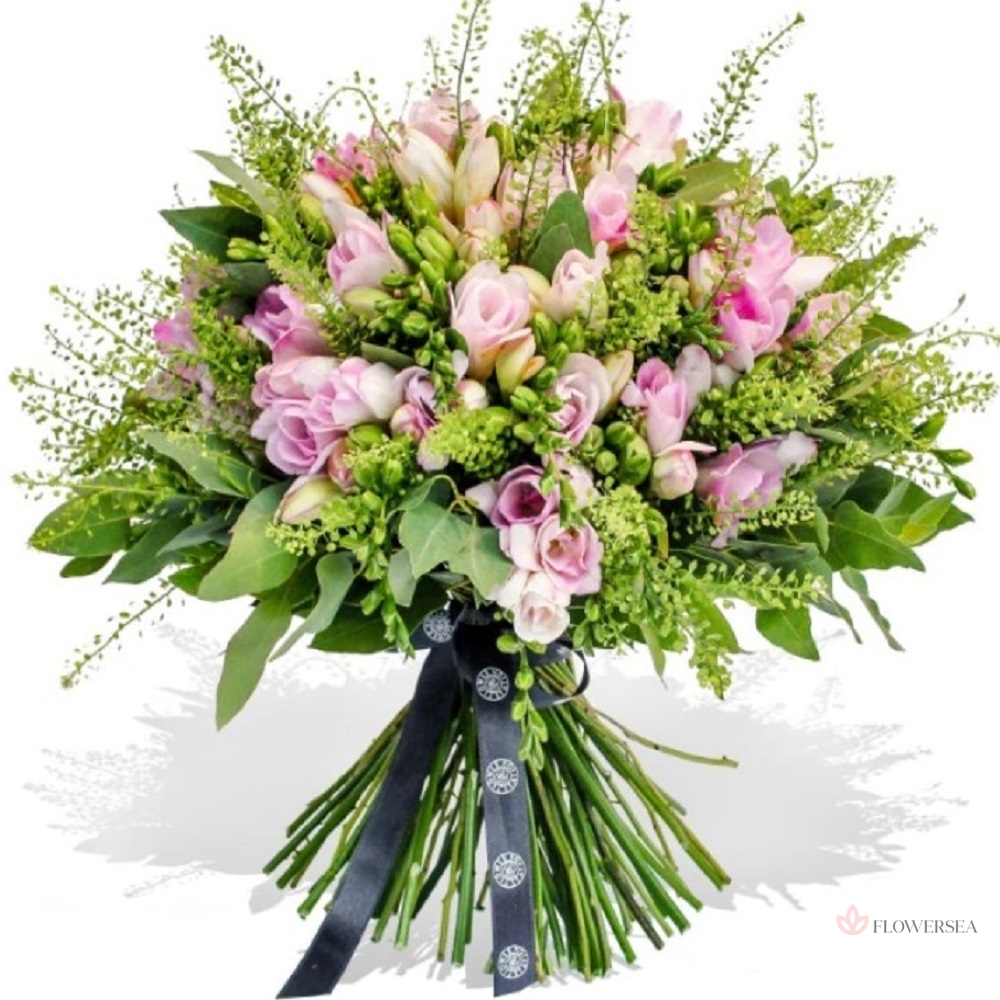 51 ������� �����