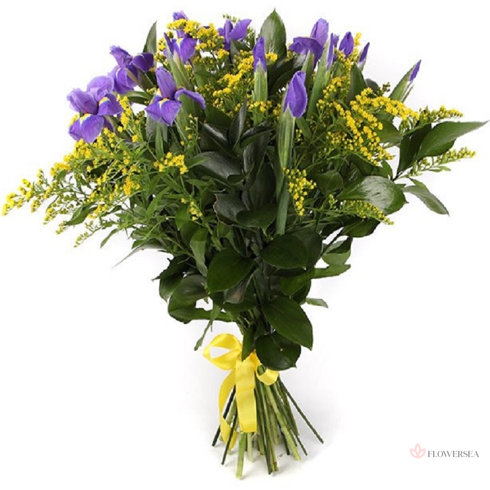 11 ����� � �������