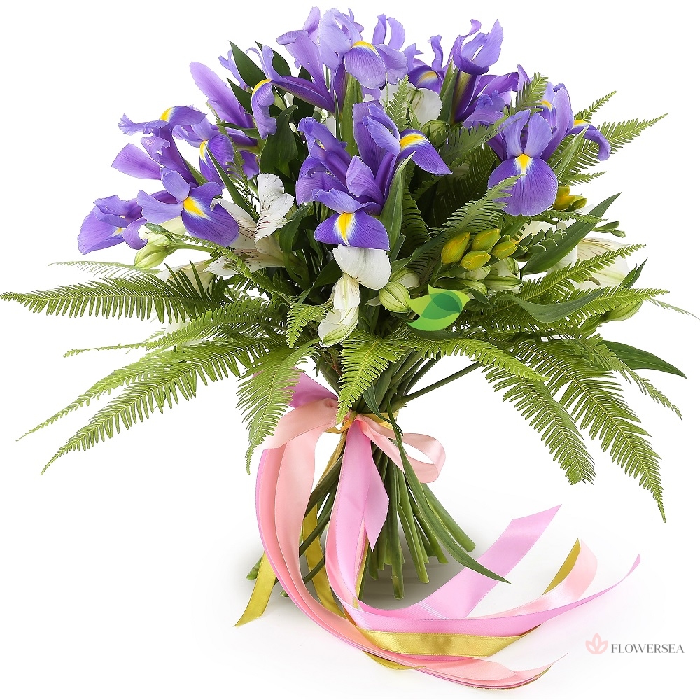 10 ����� � 5 �����������