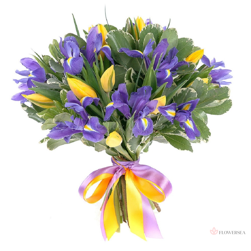 10 ����� � 9 ���������