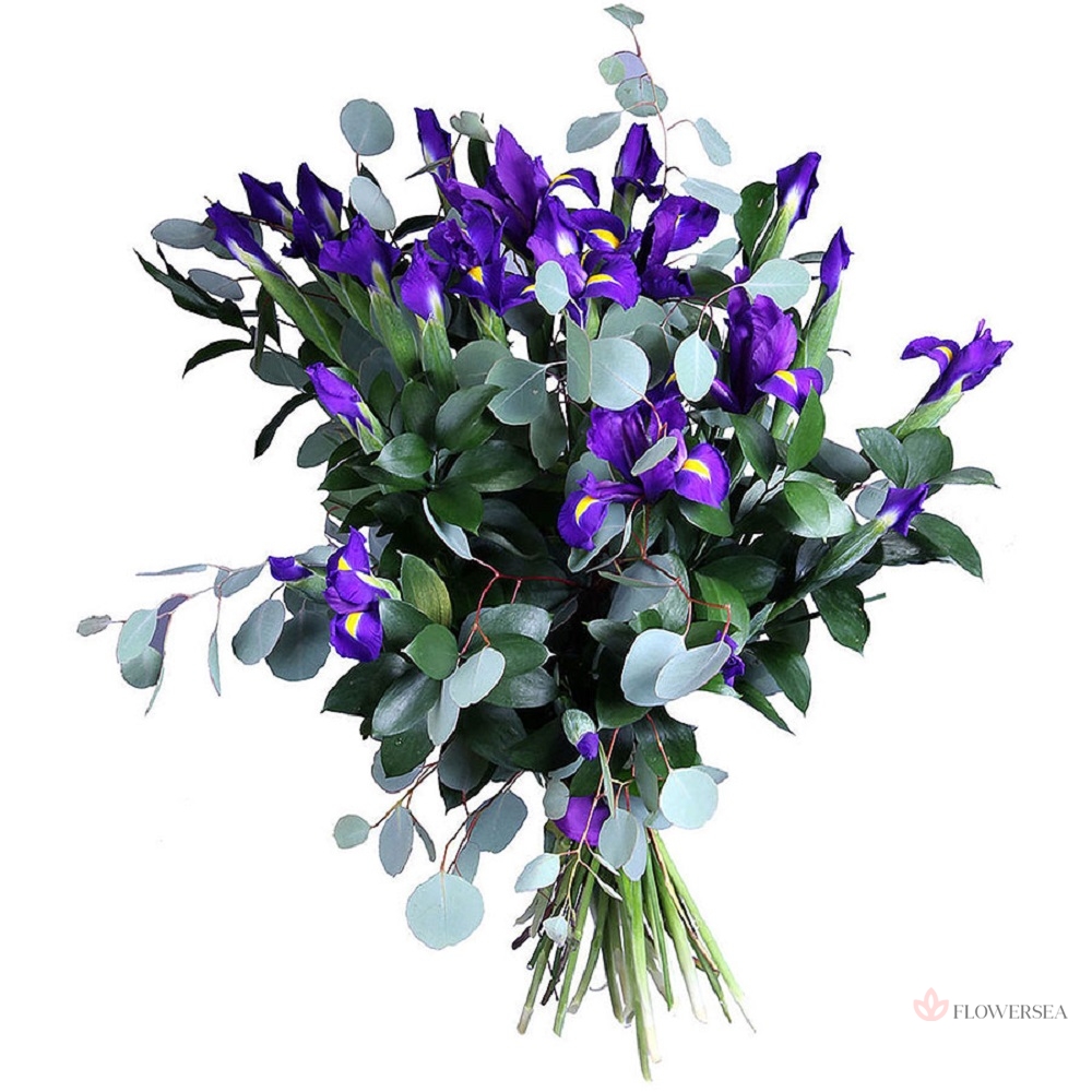 19 ����� � ���������