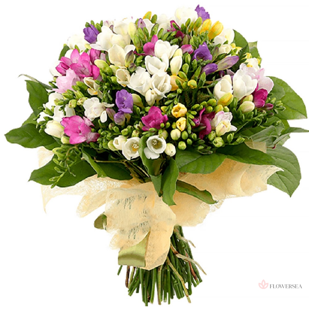 51 ������������� �����