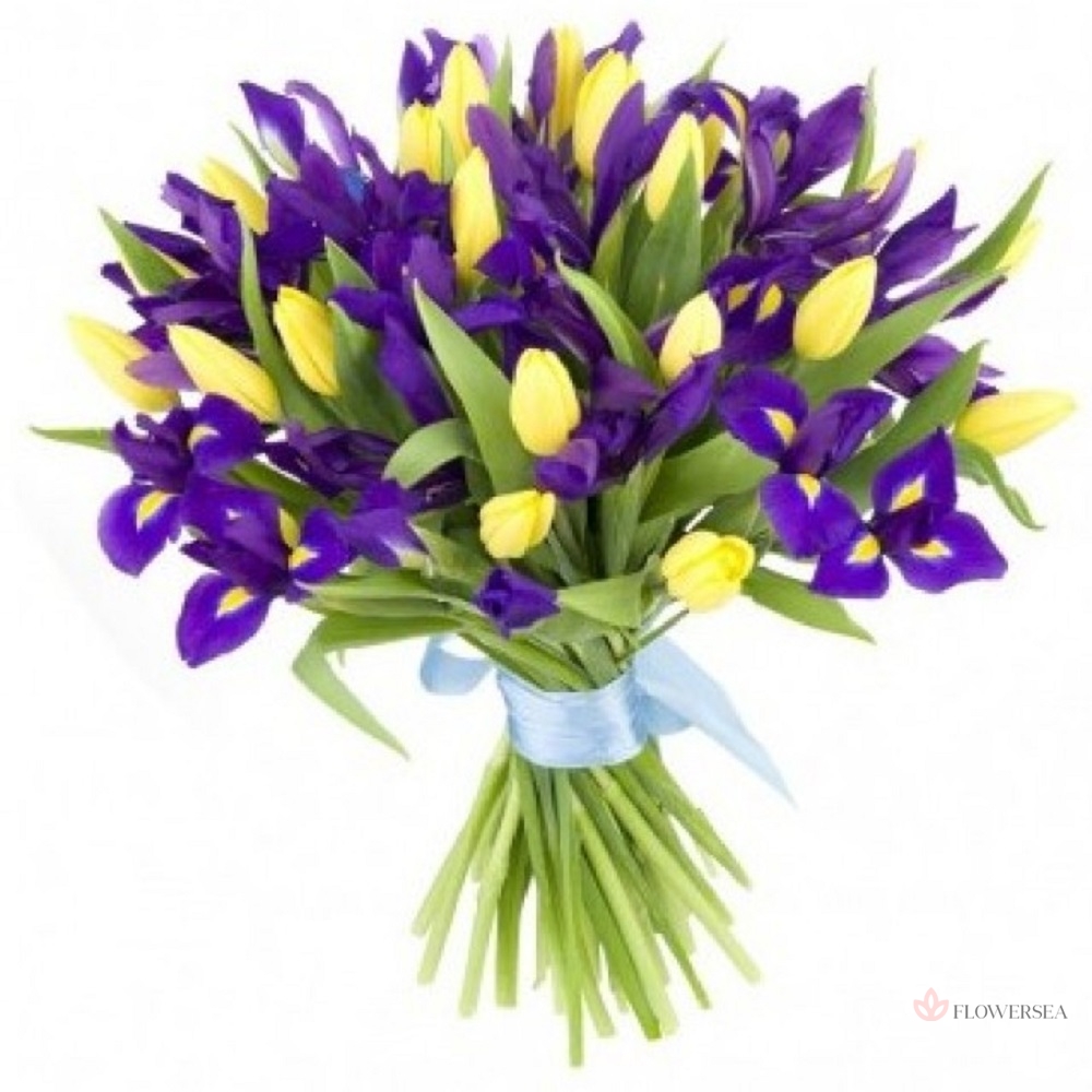 20 ����� � 19 ������ ���������