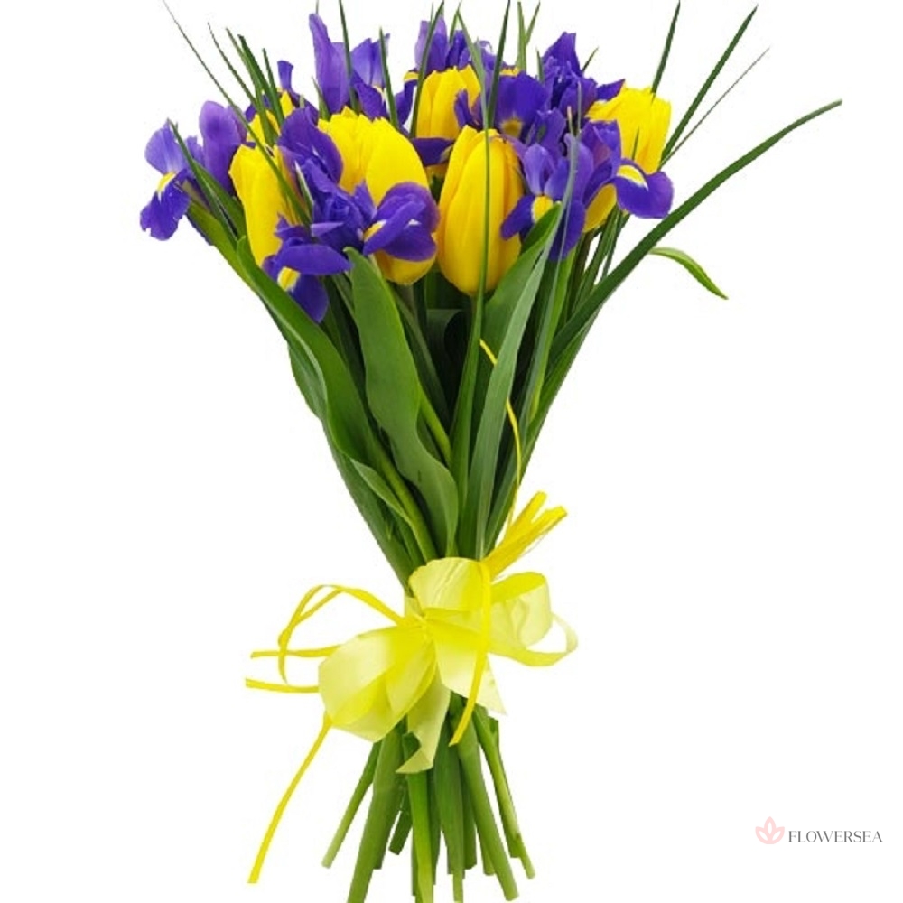 10 ����� � 9 ���������