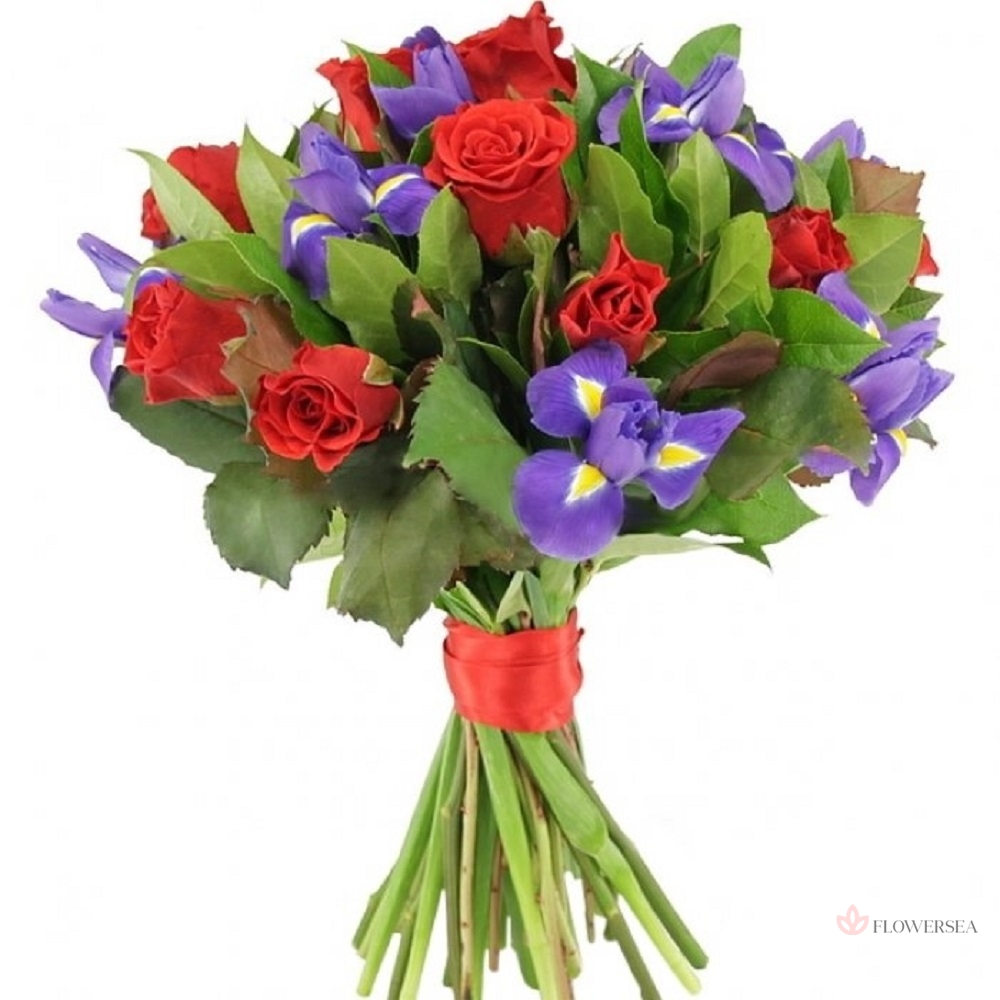 ����� � ������ � �����