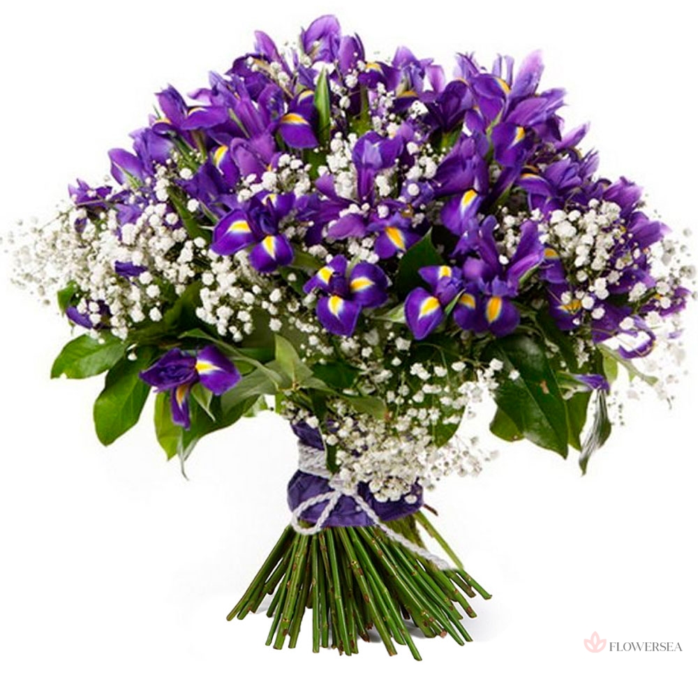 51 ���� � ���������