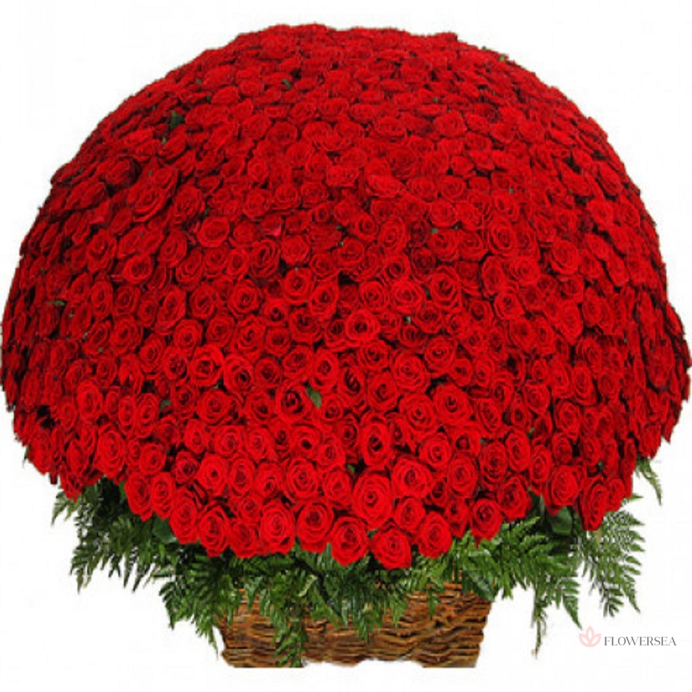 1001 ������� � ������