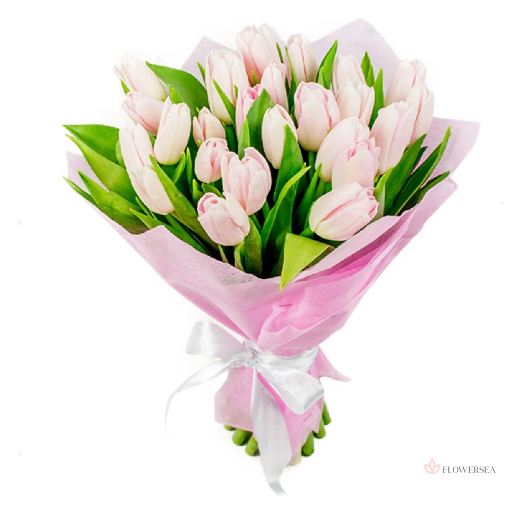 21 ����� ������� �������