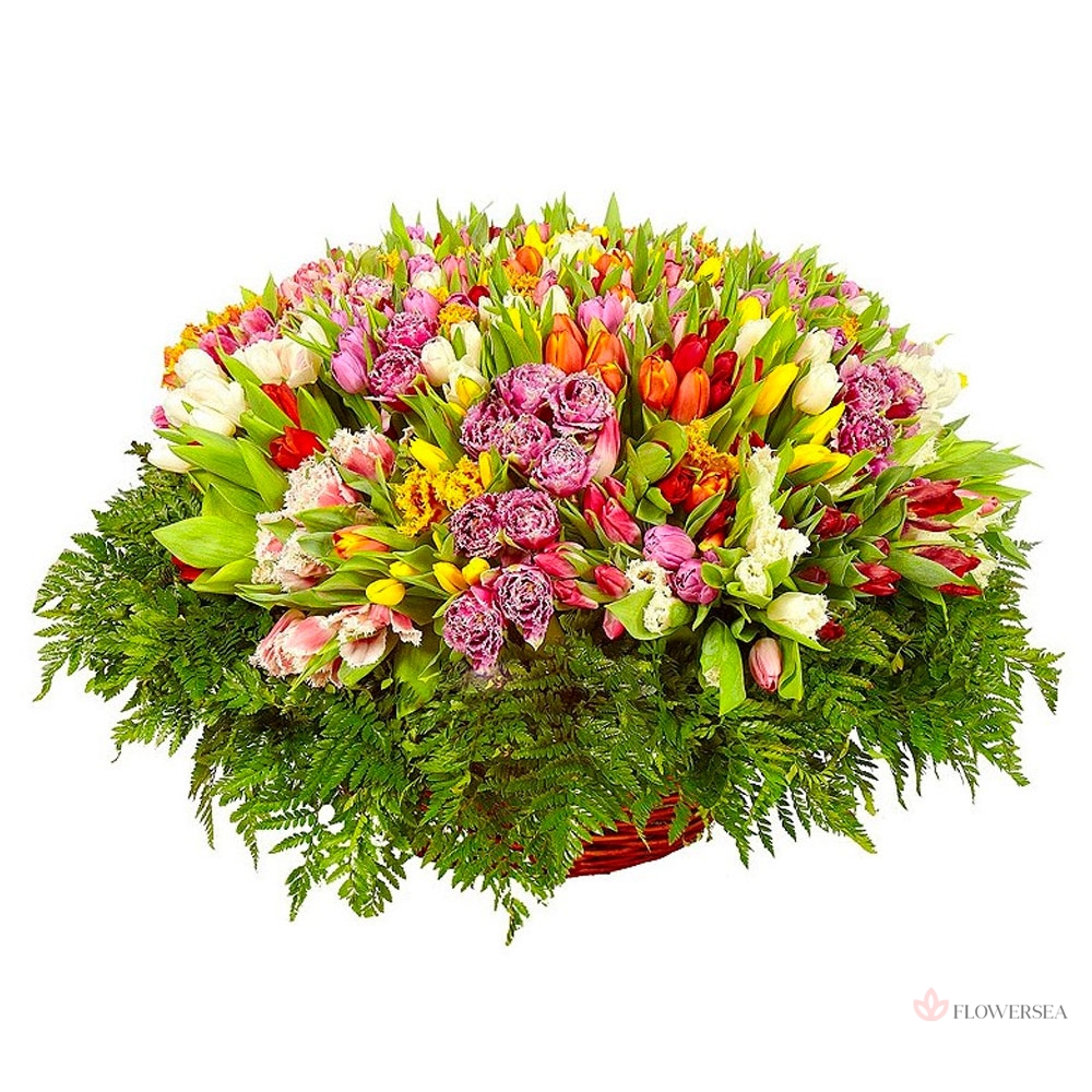 501 �������������� �������