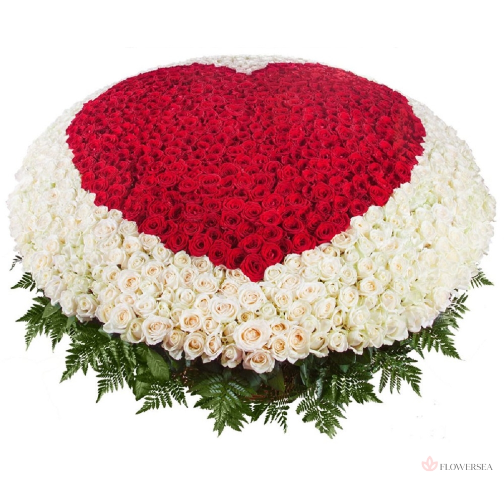 1001 ������� � ������