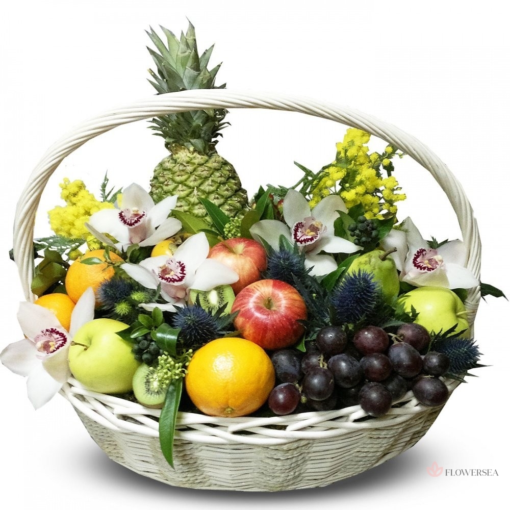 ����� ������ � ���������